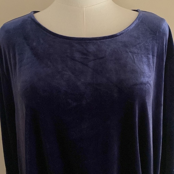 The Limited Ruch Side Detail Velvet Tunic - Picture 6 of 10